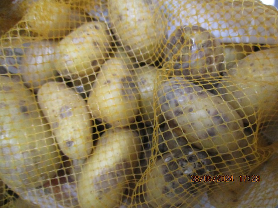 V čase úradnej kontroly bolo vykonané hodnotenie na mieste plodiny ponúkanej na predaj ,,Zemiaky na pečenie, zemiaky konzumné žlté drobné, odroda: Malvína, tvar hľuze podlhovastý, farba dužiny žltá, 1,5kg balenie. Veľkosť kontrolovanej dávky 25,5 kg (17ks) , veľkosť odobratej vzorky 7,5kg hodnota kontrolovanej dávky 45,73€. Nevyhoveli v znaku vzhľad a vnútorné poškodenie dužiny hľúz - na povrchu výskyt tmavých škvŕn, s výskytom mokrej hniloby, poškodené miesta mäkkej až rozbredlej konzistencie . Poškodenia prechádzali do dužiny hľúz do hĺbky väčšej ako 5mm . Z nevyhovujúcich zemiakov sa šíril hnilobný zápach. Požiadavkám nevyhovovalo 38% hľúz v jednom spotrebiteľskom balení, pričom nevyhovujúcich bolo 100% spotrebiteľských balení.