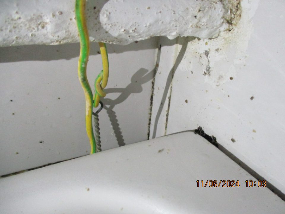 Pri výkone dodatočnej úradnej kontroly zistený výskyt živých škodcov vo výrobných priestoroch prevádzky - drobného lietajúceho hmyzu v okolí umývadla vo výrobni knedlí.