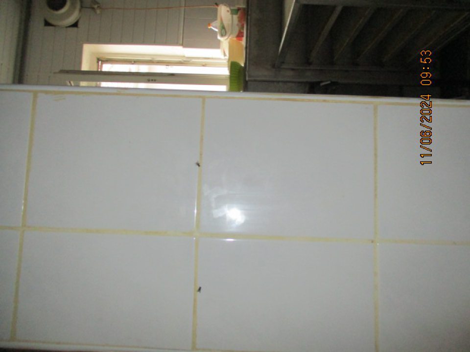  V čase dodatočnej úradnej kontroly vo výrobni knedlí, chleba a jemného pečiva zistený výskyt živého lietajúceho hmyzu (múch ).