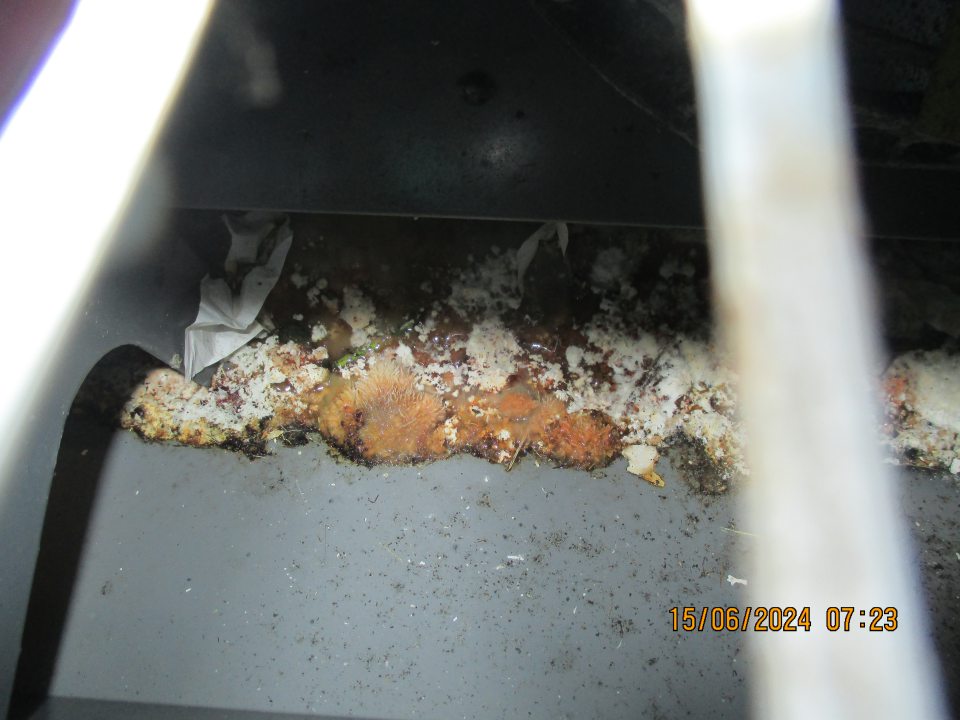 V chladiacej vitríne s uloženými mliekarenskými potravinami pod kovovou mriežkou po celej dĺžke zistený výskyt nečistôt, plesne a zvyškov potravín.