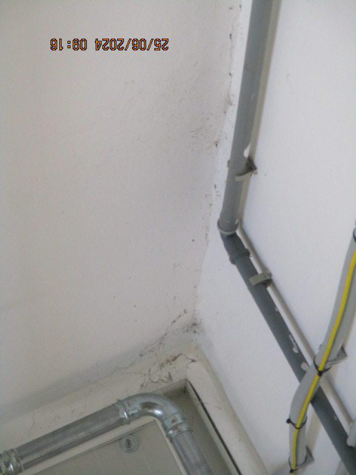 Časť príjmu obalového materiálu výskyt pavučín.