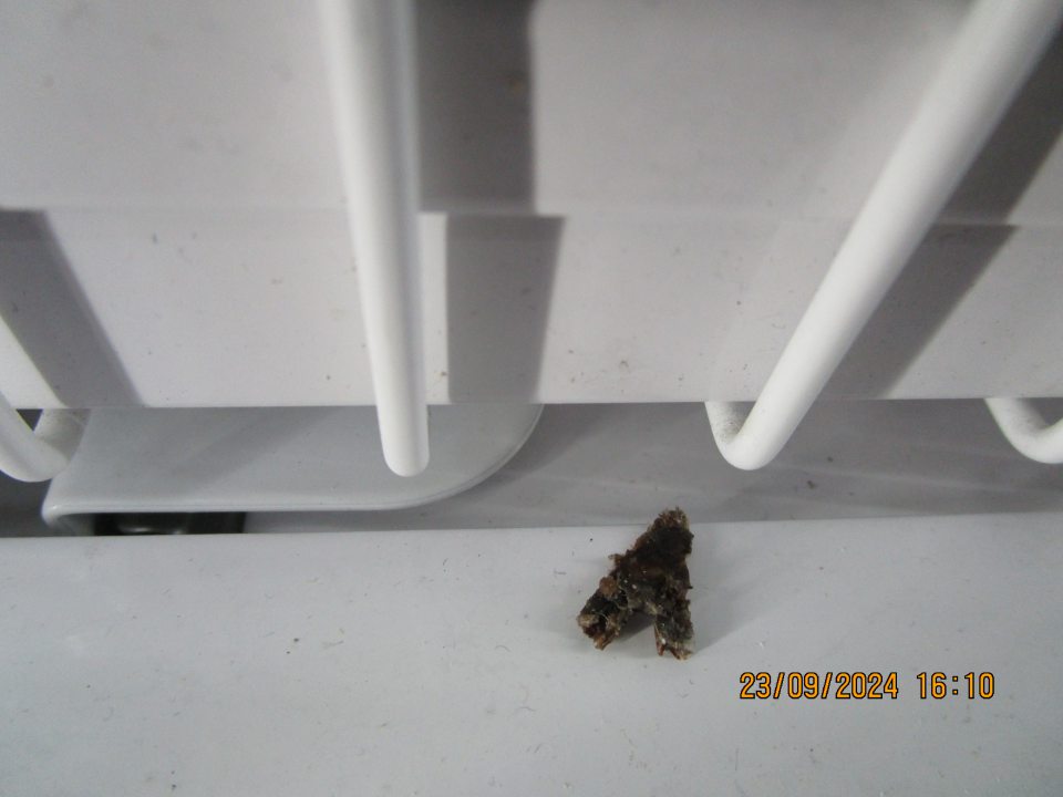 na predajnej ploche v mraziacich zariadeniach pod mriežkou s uskladnenými hlbokozmrazenými polotovarmi na viacerých miestach výskyt nečistôt, zvyšky potravín z roztrhnutých obalov, uhynutého hmyzu