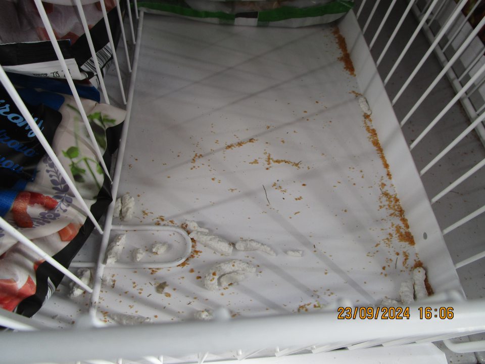 na predajnej ploche v mraziacich zariadeniach pod mriežkou s uskladnenými hlbokozmrazenými polotovarmi na viacerých miestach výskyt nečistôt, zvyšky potravín z roztrhnutých obalov