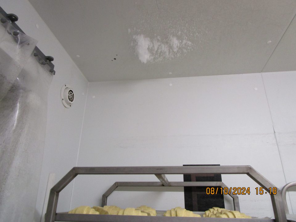 -zistený výskyt hrubej vrstvy námrazy na strope boxu, ktorá padala priamo na nebalené hlbokozmrazené pekárenské polotovary určené na dopek.