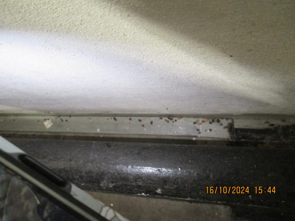 nedostatky v hygiene skladovacích priestoroch, hrubý nános prachu, nečistôt, zvyšky pečiva a kúsky baliaceho materiálu.