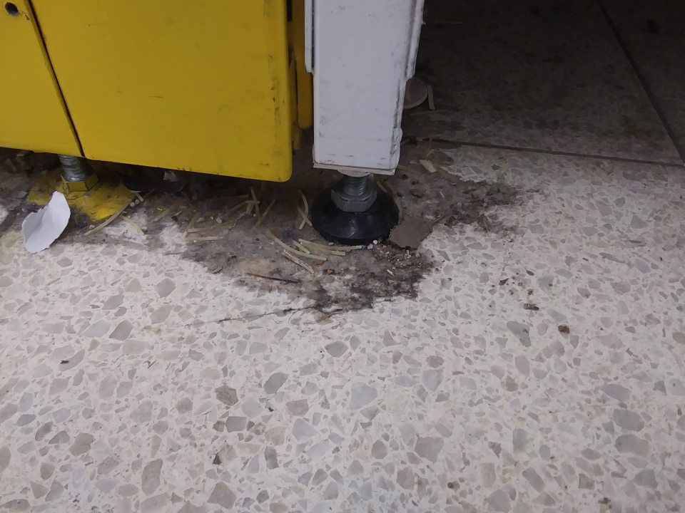 Predajňa-znečistená podlaha od prachu, zvyškov kartónov a vytečených nápojov pod regálmi, paletami s potravinami a okolo mraziacich a chladiacich zariadení v priestoroch celej predajnej plochy.