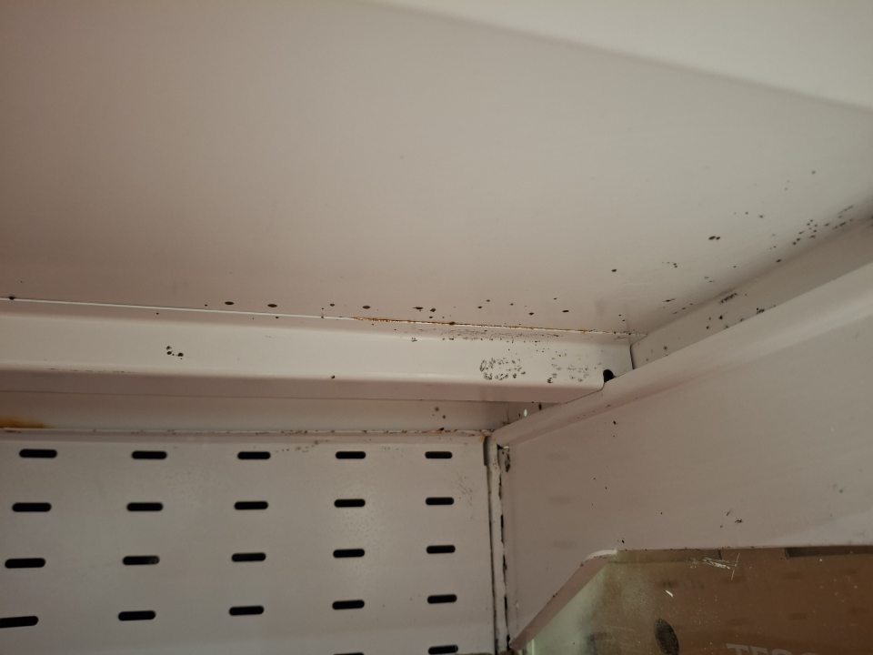 Chladiace vitríny s porastom plesne