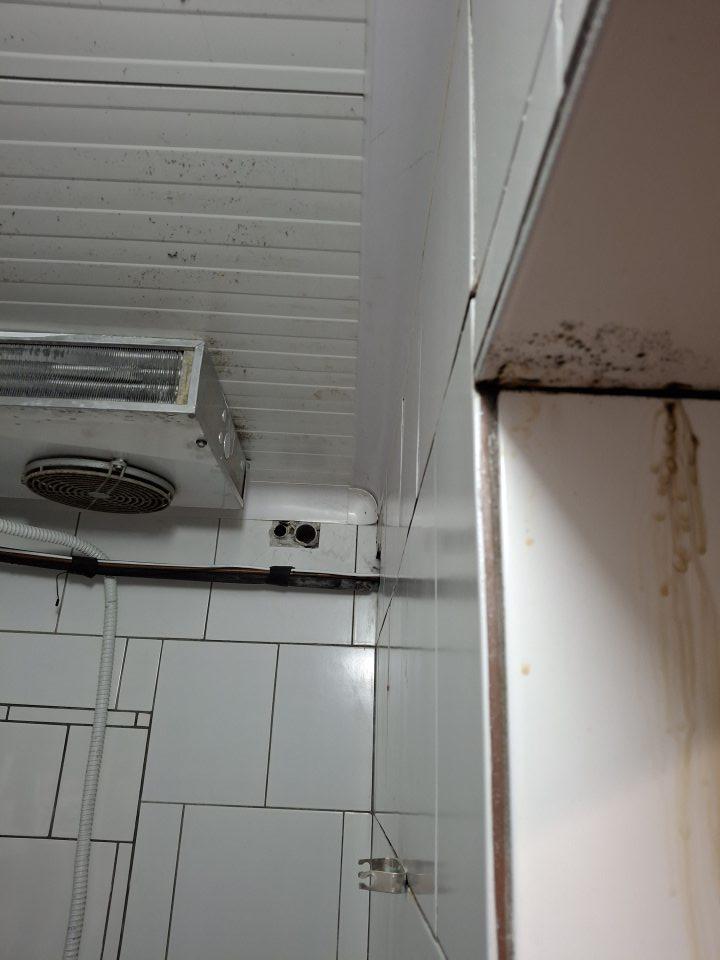 Plesnivé agregáty v chladiacej jednotke mliečneho skladu