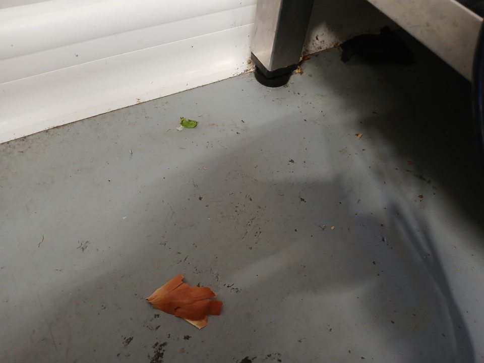Prípravovňa ovocia-zeleniny-znečistená podlaha