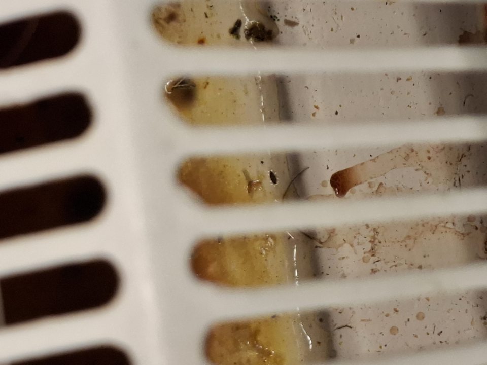  V predajných priestoroch v chladiacej vitríne s mäsovými výrobkami a hydinou znečistená mriežka chladiaceho zariadenia.