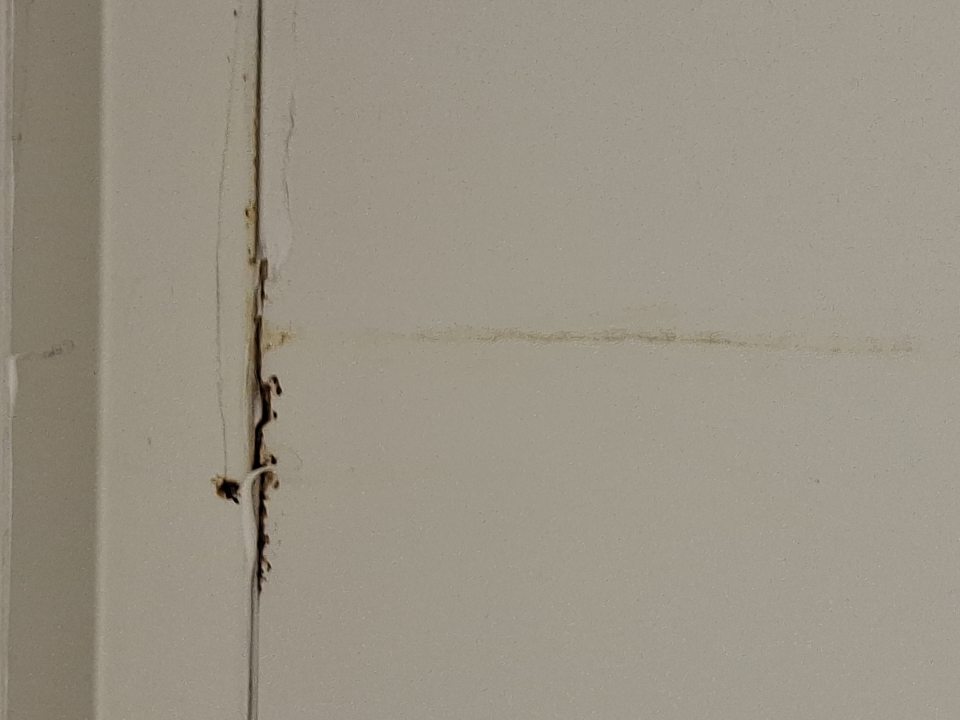 V skladových priestoroch v chladiacom boxe v hornej časti boxu, za chladiacou jednotkou a v rohu pri dverách výskyt korózie.