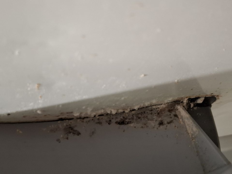 V chladiacom boxe na hornej a bočnej časti systému uzatvárania dverí mraziaceho boxu silné znečistenie z výskytom plesne.