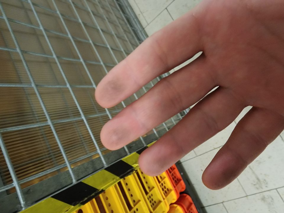 lexanová klietka určená na skladovanie nebalených pekárenských výrobkov-zaprášená-po otere čierne prsty.