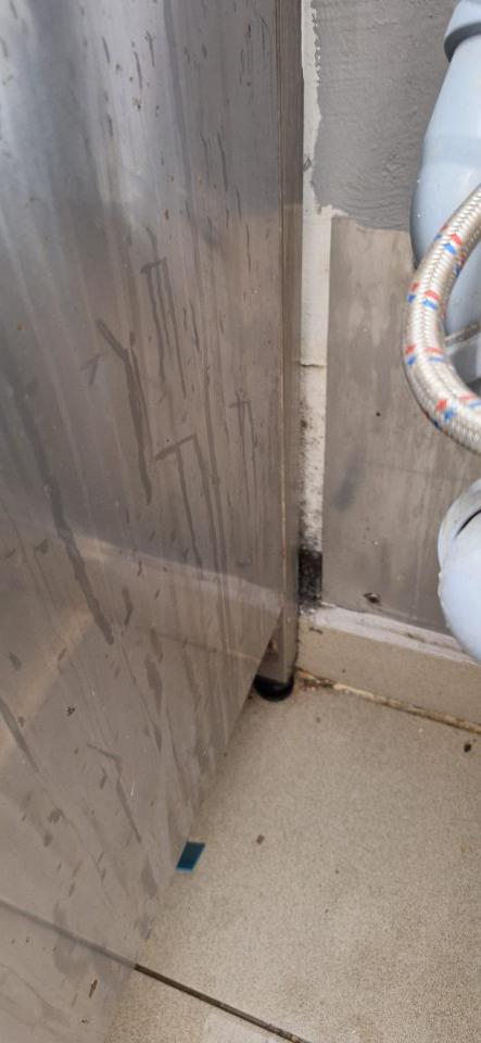 Stena za drezom znečistená plesňou.