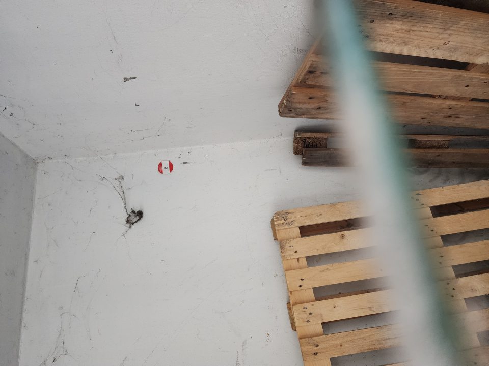 Čierne visiace pavučiny na stenách.