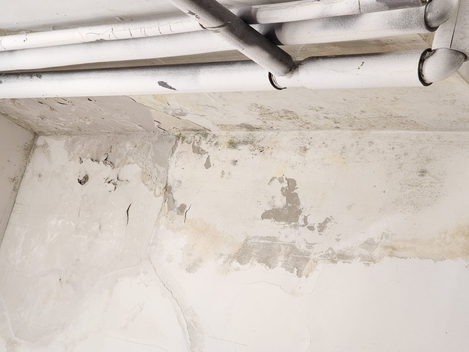 Olupujúca sa omietka v sklade.