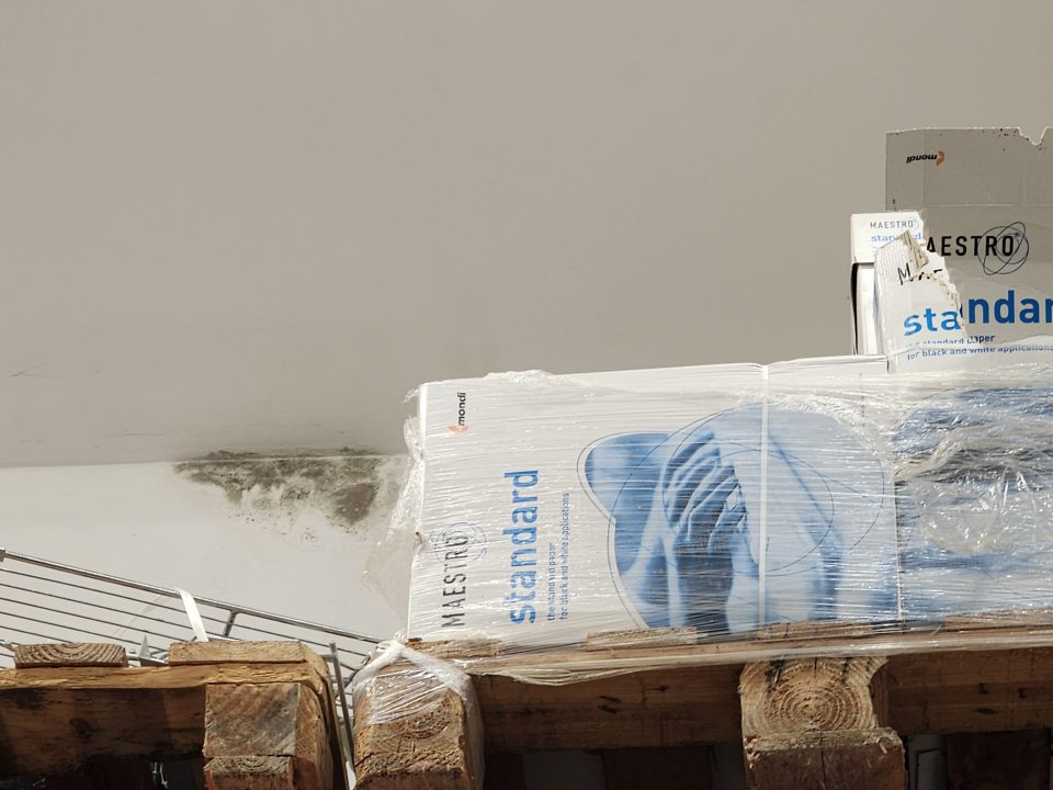 Pleseň na stene v sklade.