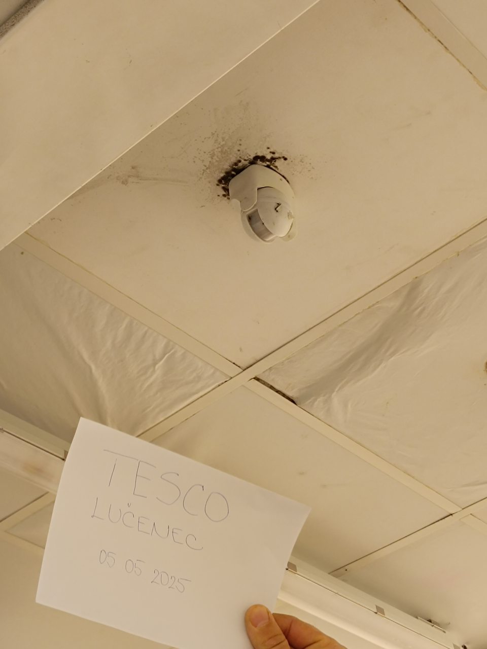 Prípravovňa mäsa - na strope okolo senzora prítomná pleseň.