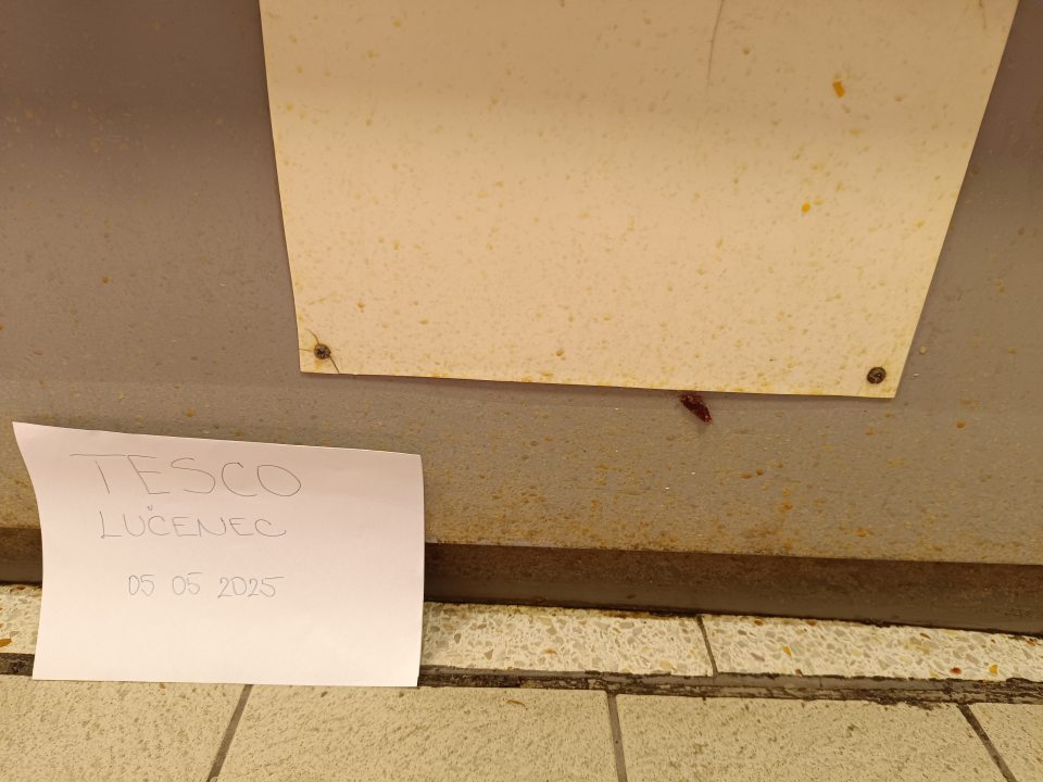 Predajná plocha - oddelenie mäsa a lahôdok - znečistené vonkajšie steny chladiacej vitríny mäsa a mäsových výrobkov zo strany predajcu (mastná špina a prítomné zvyšky mäsa).