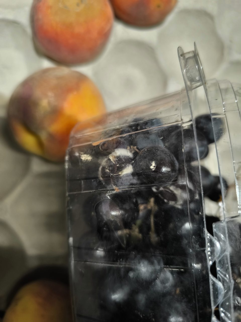 na predajnej ploche umiestnené plesnivé, zhnité ovocie