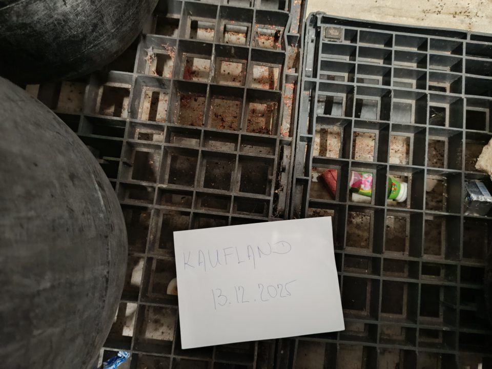 V okolí paliet so sudmi určenými na zber materiálu kategórie 3, prítomné zvyšky požerovej návnady (parafínové bloky) pre hlodavce, zvyšky obalových materiálov a poškodených potravín neurčených na ľudskú spotrebu (cereálny posyp pečiva, mliečne výrobky, droždie) mastné nečistoty