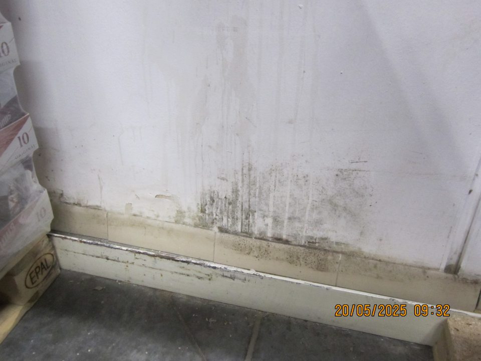 Zatečená stena s výskytom plesne v sklade trvanlivých potravín pri palete s pivom v plechovkách.