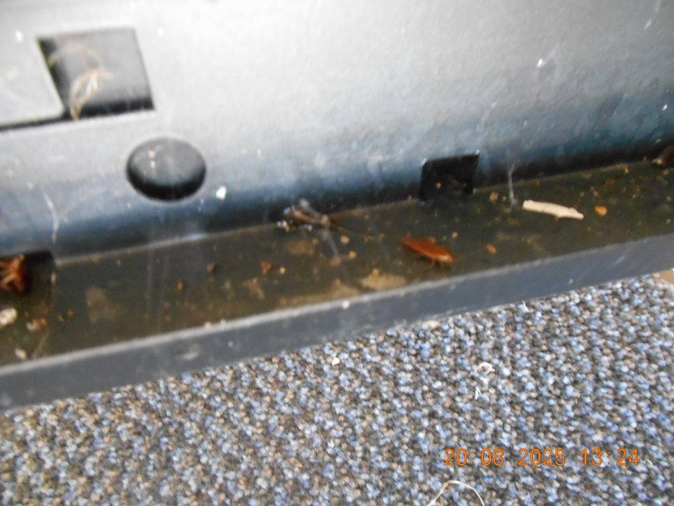 Uhynutý hmyz, nečistoty a pavučina  vo vnútri dvier fľaškomatu.