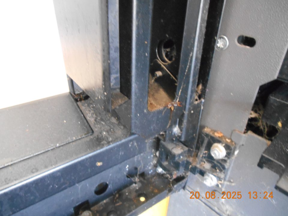 Uhynutý hmyz, nečistoty a pavučina  vo vnútri dvier fľaškomatu.