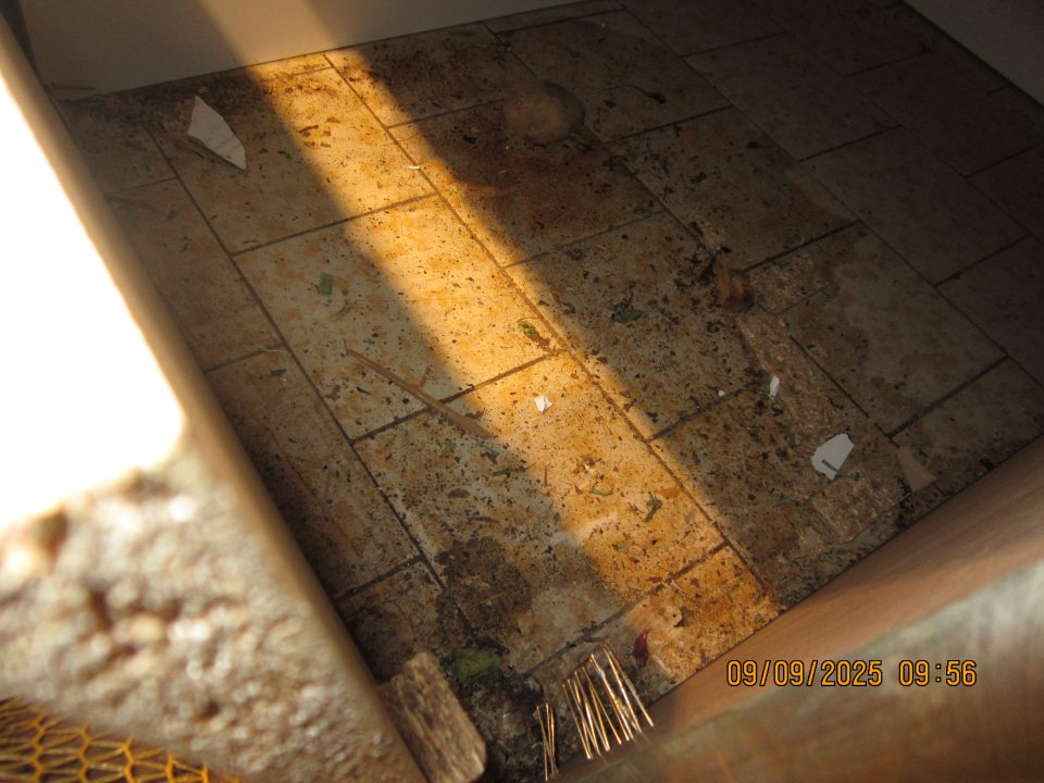 Znečistená podlaha na predajnej ploche pod podestou v oddelení čerstvého ovocia a zeleniny napadanými nečistotami, zeminou z uložených zemiakov, trieskami a pavučinou.