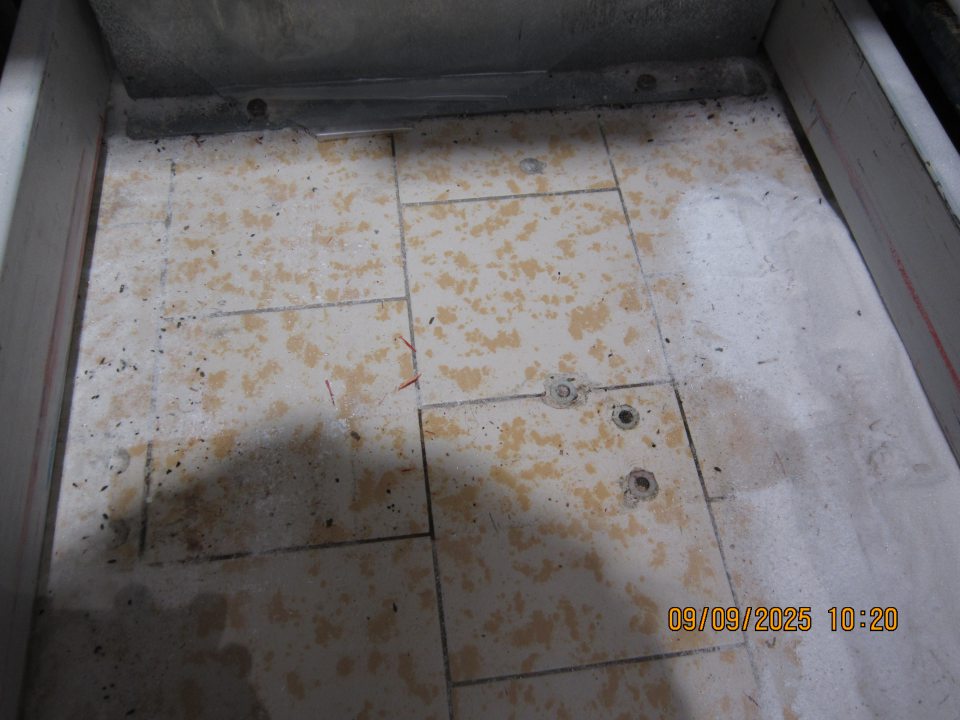 Rozsypaná múka, kryštálový cukor a trus hlodavcov na predajnej ploche na podlahe pod paletou s uloženou múkou.