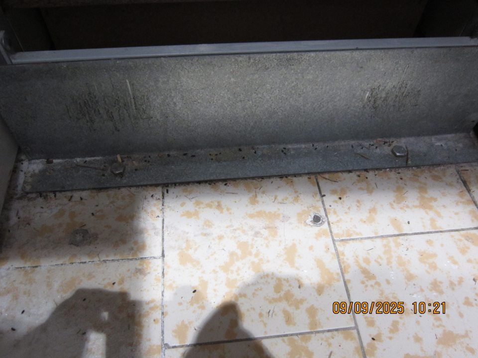 Rozsypaná múka, kryštálový cukor a trus hlodavcov na predajnej ploche na podlahe pod paletou s uloženým kryštálovým cukrom.