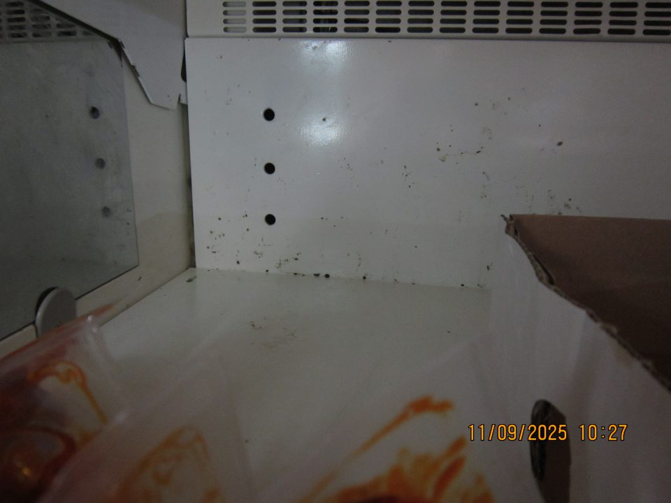 Pleseň na zadnej stene v dolnej časti chladiacej vitríny na uchovávanie mäsových výrobkov.