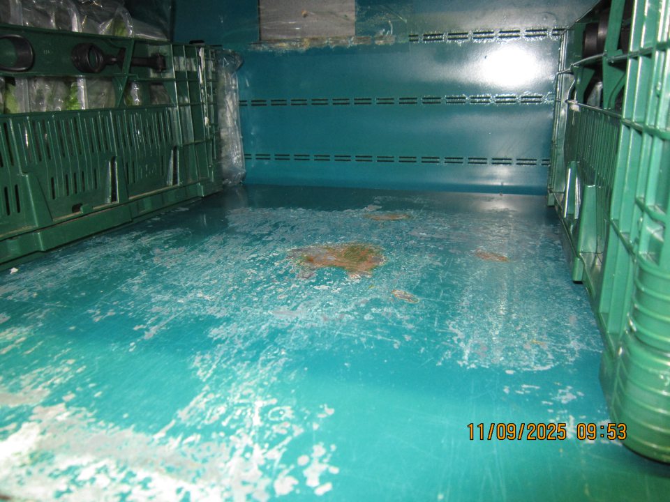 Silne poškodený náter a korózia regálu chladiacej vitríny na uchovávanie ovocia a zeleniny.