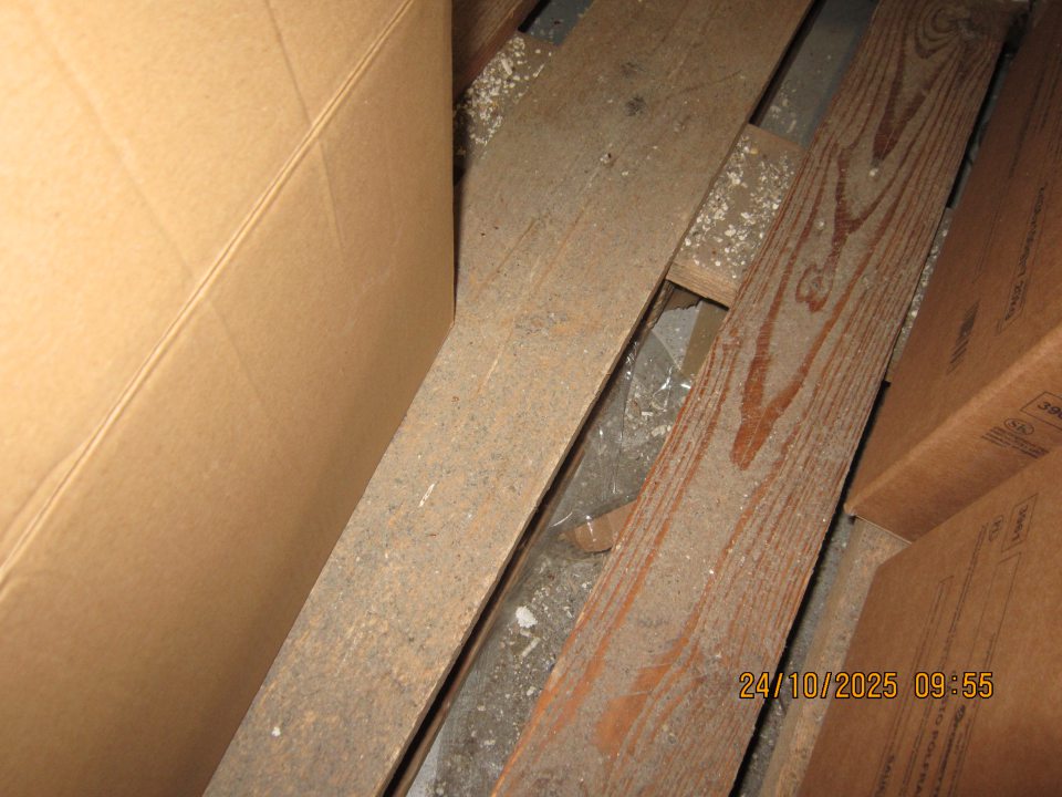 V sklade pre hlbokozmrazené potraviny pod paletami hrubá vrstva organických nečistôt, vrátane zbytkov pekárenských polotovarov určených k dopeku, zbytkov obalového materiálu, kartónov a nánosov prachu.