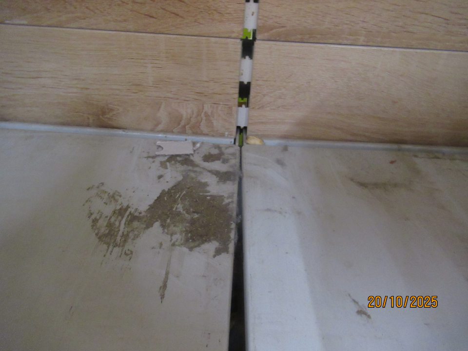 Znečistenie regálov na predajnej ploche (trvanlivé pečivo, suché škrupinové plody, sterilizovaná kukurica, alkoholické nápoje) - počiatočná korózia, znečistenie prachom, mechanické nečistoty).