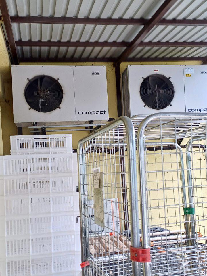 Nevyhovujúca hygiena vonkajších priestorov- príjmová rampa : nachádzalo sa tu množstvo nepotrebného materiálu, vyradené potraviny v PVC sudoch, množstvo pavučín, kovové nákupné vozíky slúžiace na dokladanie tovaru so známkami korózie.