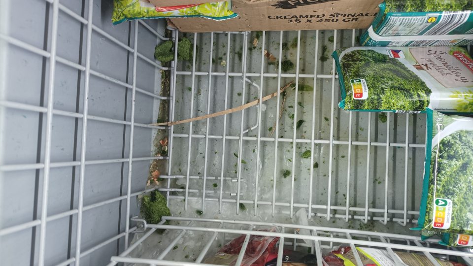 Na predajnej ploche, v mraziacich vitrínach a v boxoch s hlbokozmrazenými výrobkami (zelenina, ovocie, polotovary, ryby, atď.) sa na ložných plochách nachádzali zvyšky potravín, obalového materiálu, prachu a námrazy na stene boxu