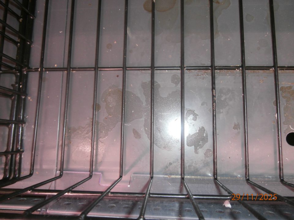 vitrína čerstvé balené mäso- výskyt nečistôt