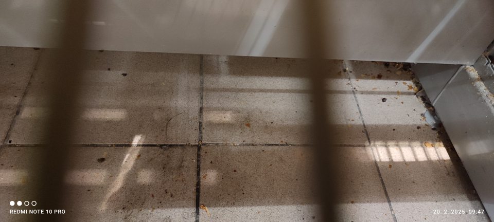 Podlaha v predajných priestoroch - nánosy prachu, zvyšky potravín