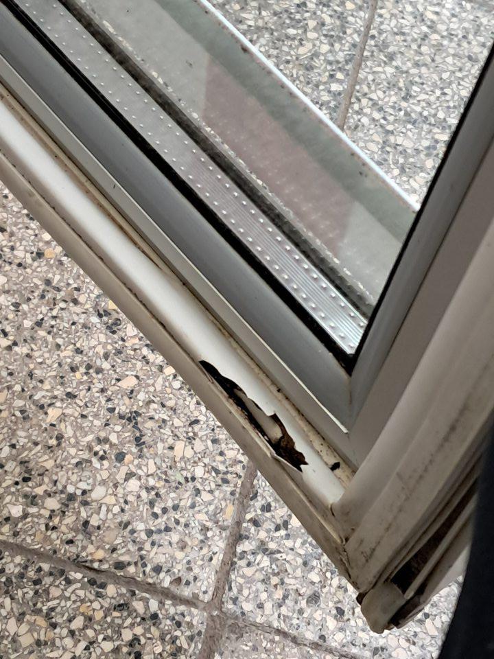 Poškodená a znečistená tesniaca guma na chladiacom zariadení.