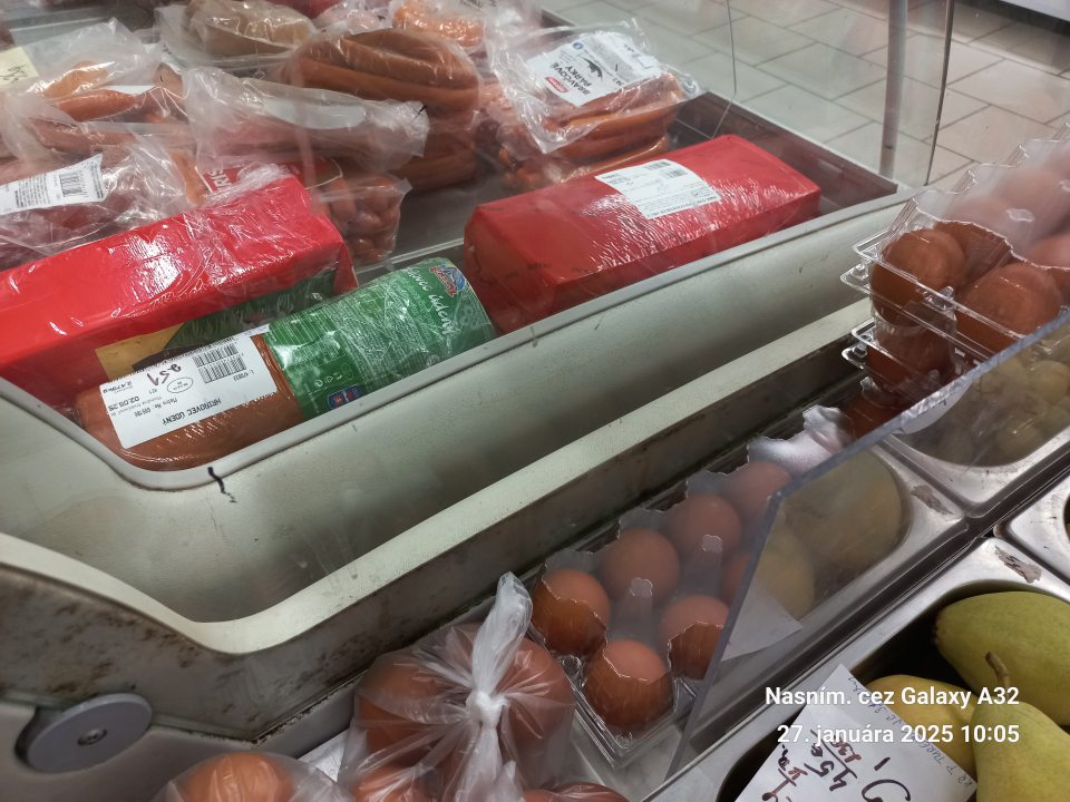 - výskyt čiernej plesne medzi sklom a vonkajším krytom chladiacich vitrín na balené a nebalené mäsové výrobky, syry , vajíčka, zeleninu na predajnej ploche