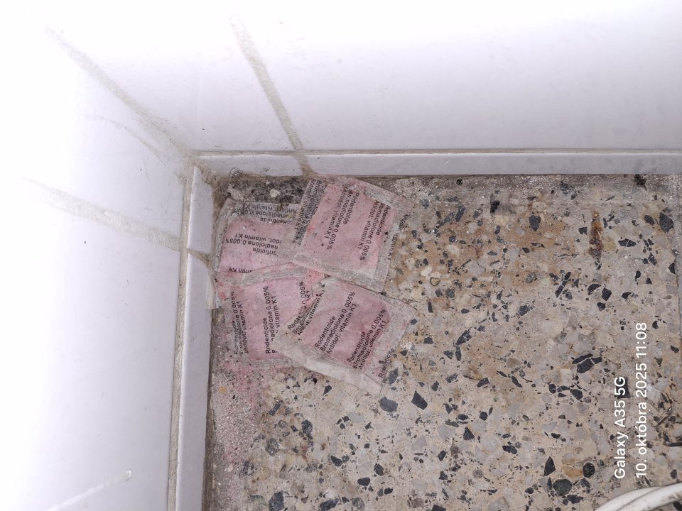 V predajnej časti prevádzky sú 4 vrecká s rodenticídom 