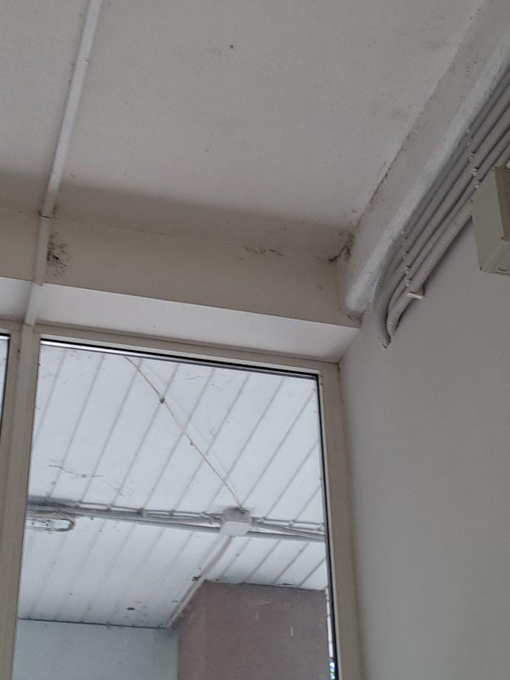 Výskyt pavučín s drobným hmyzom na stropoch v zázemí aj na predajnej ploche
