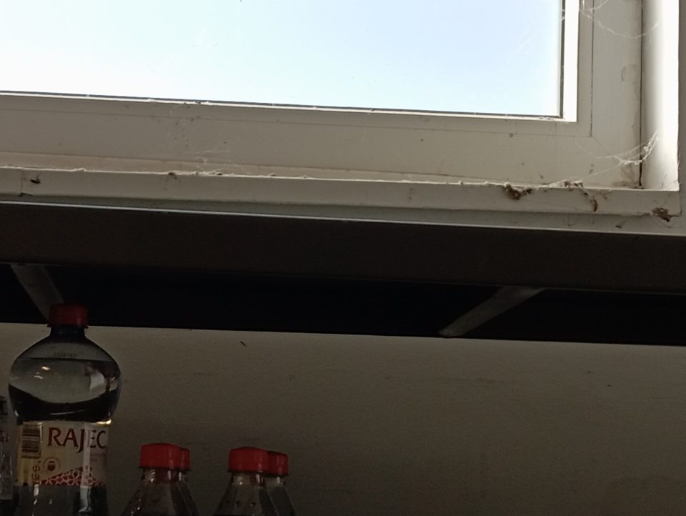 Nevyhovujúca hygiena skladovania.