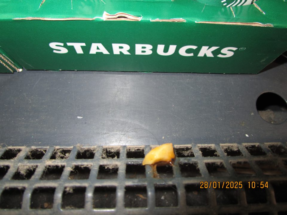 predajná plocha- v spodnej časti chladiacej vitríny s uskladnenými spotrebiteľsky balenými bagetami a kávovými nápojmi výskyt prachu, plesne a nečistôt