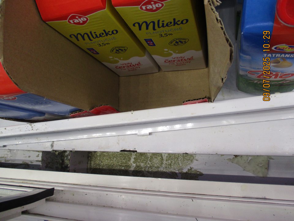 Na predajnej ploche: - V dvoch chladiacich vitrínach s uloženým zľavnenými potravinami, mliekom a mliečnymi výrobkami, zistený výskyt plesne na policiach zariadenia a vytečený obsah neznámej zaplesnenej tekutiny na viacerých miestach pod mriežkou zariadenia. 