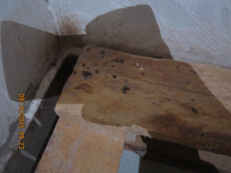 Príručný sklad surovín: -v čase úradnej kontroly zistený výskyt trusu hlodavcov - myší na palete pod kartónovým papierom v ľavom rohu s uloženými surovinami, trus hlodavov - myší zistený aj na keramickom obklade stien
