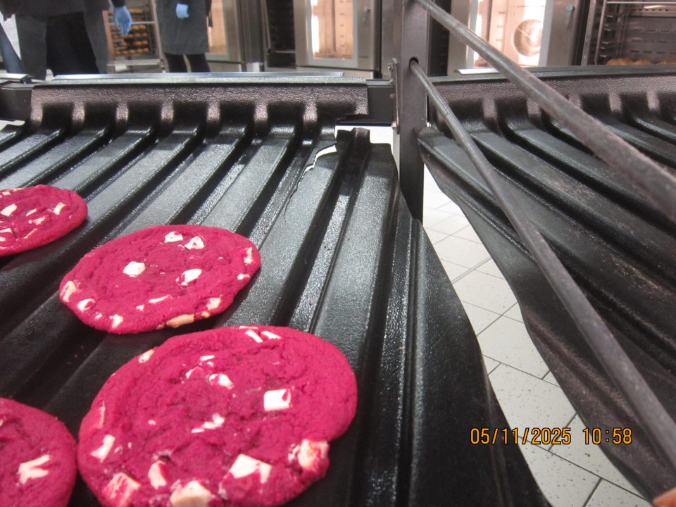 V čase úradnej kontroly boli zistené nedostatky na úseku predaja nebalených pekárských polotovarov vyrobených dopečením z hlbokozmrazených pekárskych polotovarov a tiež rozmrazených z hlbokozmrazených pekárskych polotovarov a to: umelohmotná podložka slúžiaca na uloženie rozmrazeného pečiva sušienka Red velvet pripravená k predaju ku konečnému spotrebiteľovi má v zadnej časti vpravo prasknutú/nalomenú časť o rozmeroch cca. 15 cm x 4 cm, taktiež vedľa umiestnená umelohmotná podložka slúžiaca na uloženie pekárenských výrobkov, ktoré boli vyrobené dopečením hlbokozmrazených pekárskych polotovarov Mini toscana s olivami a čili, Mini toscana s balkánskym syrom a tyčinka so zelenými olivami má v zadnej časti vľavo poškodenú/nalomenú časť o rozmeroch 2 cm x 2 cm a vpravo v zadnej časti je prasknutá v dĺžke 6 cm. Ďalej umelohmotná podložka na uloženie pekárskeho polotovaru rozmrazeného z hlbokozmrazených pekárskych polotovarov Vianočka maslová s hrozienkami poškodená/prasknutá o rozmeroch 7 cm x 5 cm. 