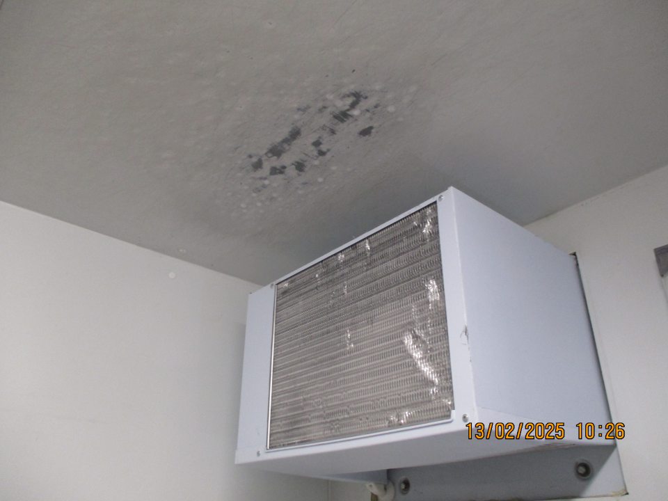 V zázemí: V mraziarenskom boxe s umiestnenými hlbokomrazenými pekárenskými polotovarmi bol na strope pri výparníku zistený výskyt kondenzu.