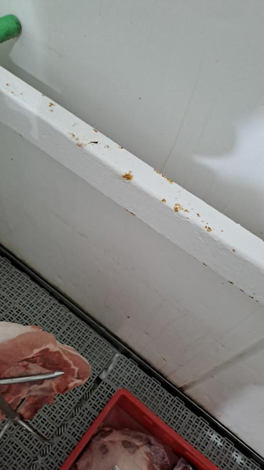 1. Poškodený náter so začínajúcou koróziou kovových konštrukcií v chladiarenskom sklade na mäso  v zázemí.